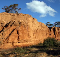 Red Banks Conservation Park - St Kilda Accommodation