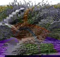 Rustique Lavender Farm - St Kilda Accommodation