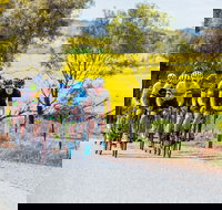 The Heron's Highway - Avon River Cycle Trail - St Kilda Accommodation