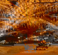 Victory Memorial Gardens - St Kilda Accommodation