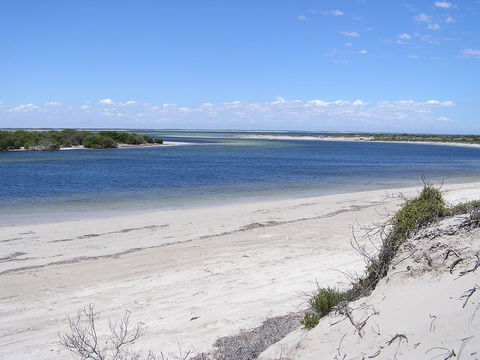 Acraman Creek Conservation Park - St Kilda Accommodation 0