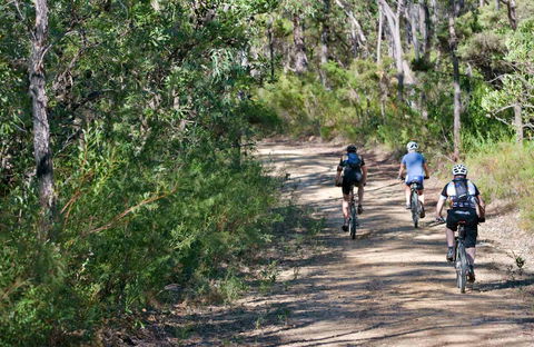 Andersons Trail - St Kilda Accommodation 0