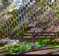 Armadale - St Kilda Accommodation