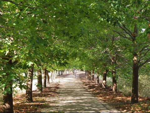 Beechworth To Everton Station 16km - St Kilda Accommodation 1