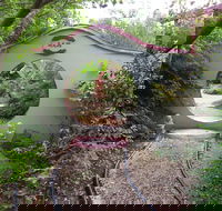 Black Dragon Gardens Wulong Yuan - St Kilda Accommodation
