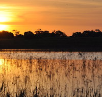 Bool Lagoon Game Reserve and Hacks Lagoon Conservation Park - St Kilda Accommodation