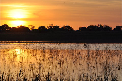 Bool Lagoon Game Reserve And Hacks Lagoon Conservation Park - St Kilda Accommodation 0