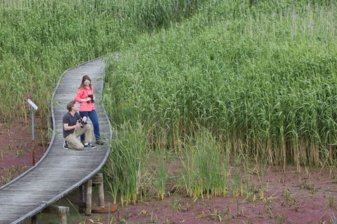 Bool Lagoon Game Reserve And Hacks Lagoon Conservation Park - St Kilda Accommodation 2