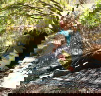 Haig Street Quarry Bushland Reserve Trails - St Kilda Accommodation