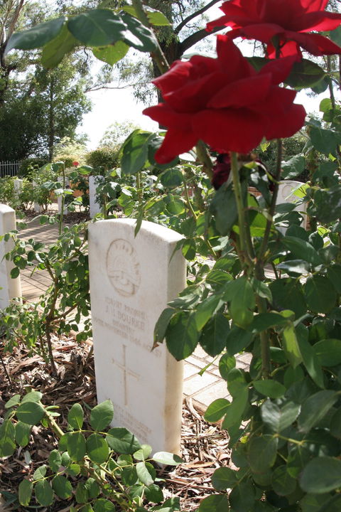 Japanese And Australian War Cemeteries - St Kilda Accommodation 1