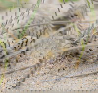 Manning Entrance State Park - St Kilda Accommodation