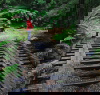 Montezuma Falls - St Kilda Accommodation