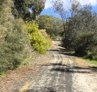 Naracoorte North Nature Park - St Kilda Accommodation