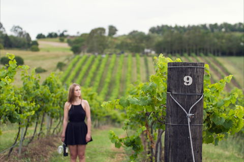 Naturally Luxurious - Great Beach Drive - St Kilda Accommodation 0