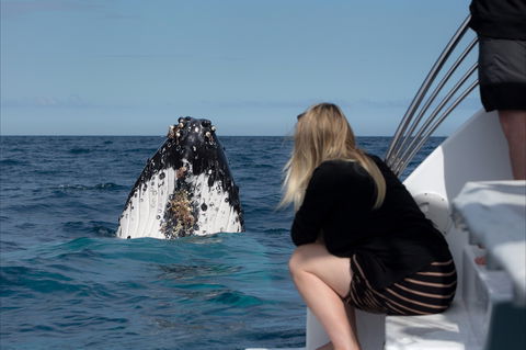 Naturally Luxurious - Great Beach Drive - St Kilda Accommodation 2