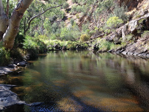 Onkaparinga River National Park - St Kilda Accommodation 2