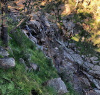 Pine Gully Nature Trail - St Kilda Accommodation