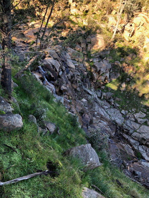 Pine Gully Nature Trail - St Kilda Accommodation 0
