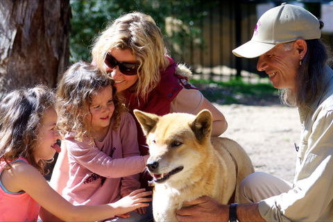 Potoroo Palace Native Animal Sanctuary - St Kilda Accommodation 0