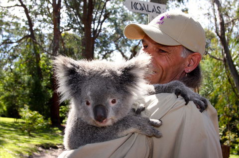 Potoroo Palace Native Animal Sanctuary - St Kilda Accommodation 2
