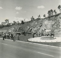 Rockhampton Bull Statues - St Kilda Accommodation