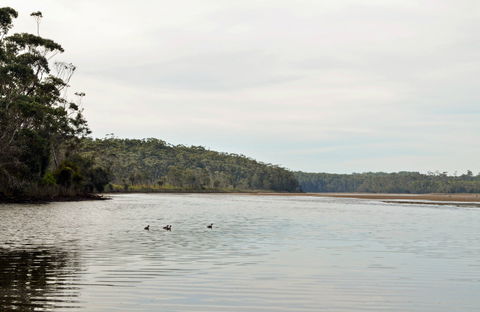 Tabourie Lake - St Kilda Accommodation 0