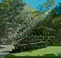 Terania Creek Picnic Area - St Kilda Accommodation