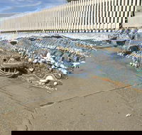 The Nambucca Heads Mosaic - St Kilda Accommodation