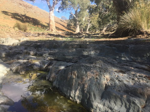Three Creeks Station -Arkaroona Creek Walk - St Kilda Accommodation 0