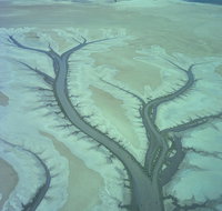 Tidal Flats