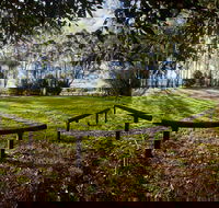 Aboriginal Bora Ring - St Kilda Accommodation
