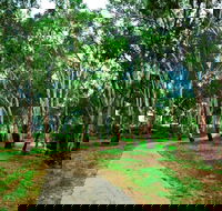 Adungadoo Pathway - St Kilda Accommodation