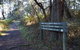 Arthurs Seat To Kings Falls Walk - thumb 0