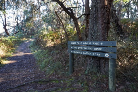 Arthurs Seat To Kings Falls Walk - St Kilda Accommodation 0