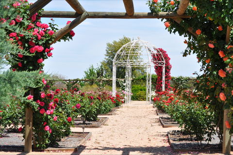 Australian Inland Botanic Gardens - St Kilda Accommodation 0