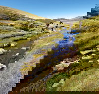 Australian Alps Walking Track - St Kilda Accommodation