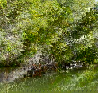 Berry Springs Nature Park - St Kilda Accommodation