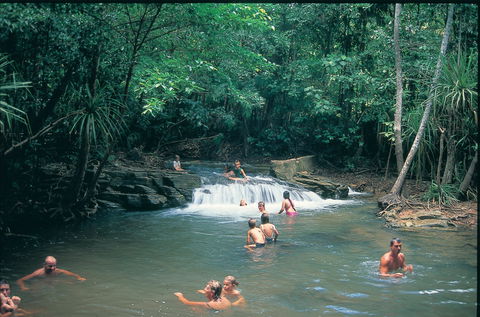 Berry Springs Nature Park - St Kilda Accommodation 1