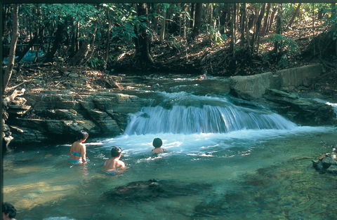 Berry Springs Nature Park - St Kilda Accommodation 2