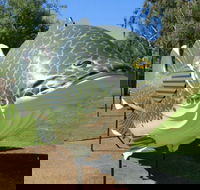 Big Murray Cod - St Kilda Accommodation