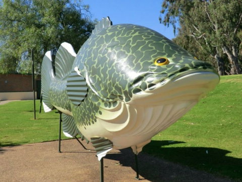 Big Murray Cod - St Kilda Accommodation 0