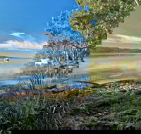 Black Oaks Picnic Area - St Kilda Accommodation