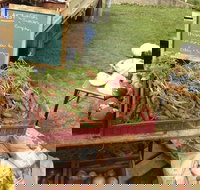 Burnie Farmers Market - St Kilda Accommodation