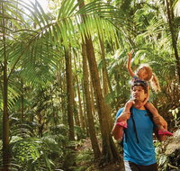Canungra - St Kilda Accommodation