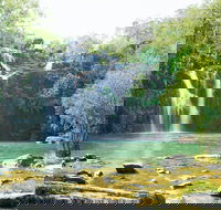 Cedar Creek Falls - St Kilda Accommodation