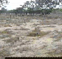 Culgoa Connellys Track - St Kilda Accommodation