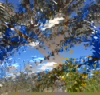 Euroa Arboretum - St Kilda Accommodation