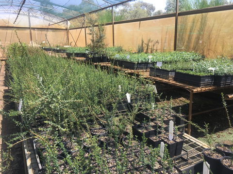 Euroa Arboretum - St Kilda Accommodation 1