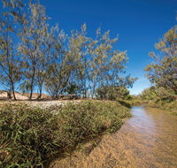Freshwater Creek Track Byfield National Park - St Kilda Accommodation