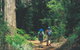 Gloucester National Park - thumb 0